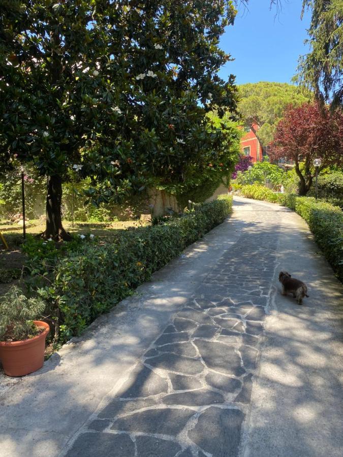 Le Magnolie Bed & Breakfast Santa Margherita Ligure Bagian luar foto